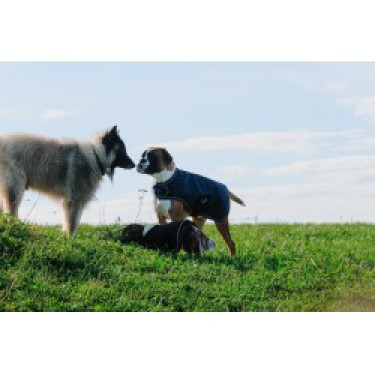 Capa para cão Equithème TYREX 600D Capa para cão Equithème TYREX 600D