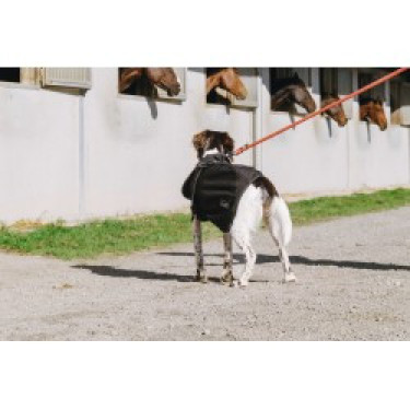 Capa para cão Equithème Softshell Capa para cão Equithème Softshell