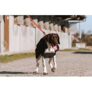 Capa para cão Equithème Softshell Capa para cão Equithème Softshell