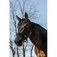 Protetor de focinho anti-UV Equithème Preto