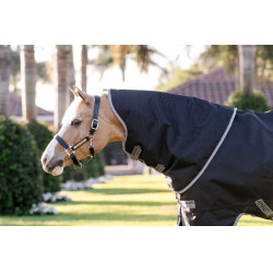 Capa Horseware Amigo 1200D Plus Pônei Turnout 250g Preto / cinza titânio / prata