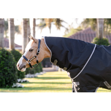 Capa Horseware Amigo 1200D Plus Pônei Turnout 250g Preto / cinza titânio / prata