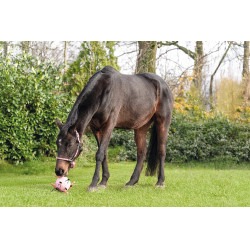 Bola de jogo HKM cavalos Fun Rosa Bola de jogo HKM cavalos Fun Rosa