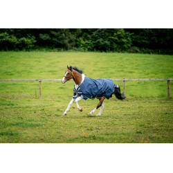Cobertura Horseware Amigo 1200D XL Turnout 150g Marinho / cinza titânio / prata Azul-marinho Cobertura Horseware Amigo 1200D XL Turnout 150g Marinho / cinza titânio / prata Azul-marinho
