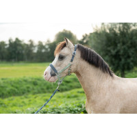 Caveção HKM Barnie Azul fumê / rosa