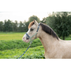 Caveção HKM Barnie Verde claro / verde escuro