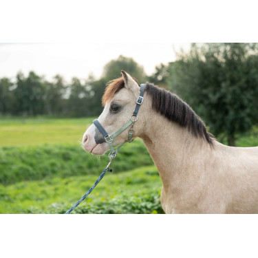 Caveção HKM Barnie Verde claro / verde escuro
