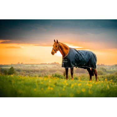 Capa Horseware Amigo Ripstop 900D Pônei Turnout 100g Marine witney Azul-marinho
