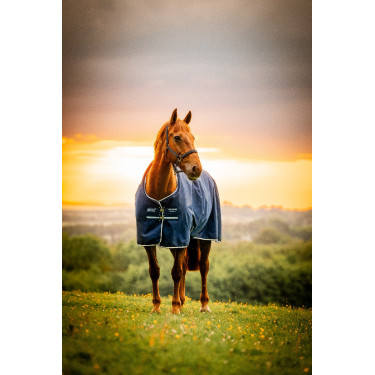 Cobertura Horseware Amigo Ripstop 900D Pônei Turnout 200g Marine witney Azul-marinho