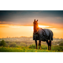 Capa Horseware Amigo Ripstop 900D Turnout 200g Marine witney Azul-marinho