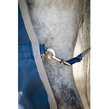Capa Horseware Ionic Therapy Turnout 100g Capa Horseware Ionic Therapy Turnout 100g