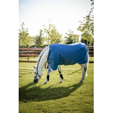 Capa Horseware Ionic Therapy Turnout 100g Capa Horseware Ionic Therapy Turnout 100g