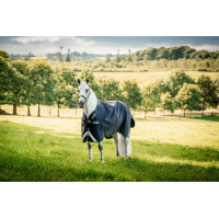 Capa Horseware Rambo 1680D Turnout 100g Marinho / tempestade / cinza prateado Azul-marinho Capa Horseware Rambo 1680D Turnout 100g Marinho / tempestade / cinza prateado Azul-marinho