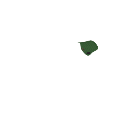 Almofada de sela LeMieux Toy Pony Verde hunter