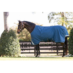 Capa Horseware Rhino Turnout 100g Marinho / cinza / aqua / cinza Azul-marinho