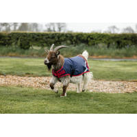 Capa para cabra Horseware 0g Marinho / vermelho Azul