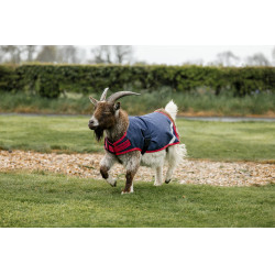 Capa para cabra Horseware 0g Marinho / vermelho Azul Capa para cabra Horseware 0g Marinho / vermelho Azul