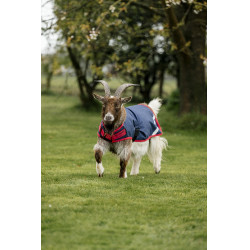 Capa para cabra Horseware 0g Marinho / vermelho Azul Capa para cabra Horseware 0g Marinho / vermelho Azul