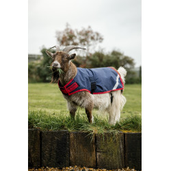 Capa para cabra Horseware 0g Marinho / vermelho Azul Capa para cabra Horseware 0g Marinho / vermelho Azul