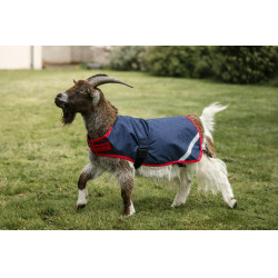 Capa para cabra Horseware 0g Marinho / vermelho Azul Capa para cabra Horseware 0g Marinho / vermelho Azul