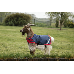 Capa para cabra Horseware 0g Marinho / vermelho Azul Capa para cabra Horseware 0g Marinho / vermelho Azul