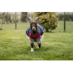 Capa para cabra Horseware 0g Marinho / vermelho Azul Capa para cabra Horseware 0g Marinho / vermelho Azul