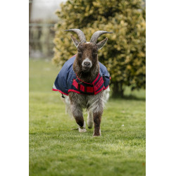 Capa para cabra Horseware 0g Marinho / vermelho Azul Capa para cabra Horseware 0g Marinho / vermelho Azul