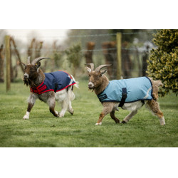 Capa para cabra Horseware 0g Capa para cabra Horseware 0g