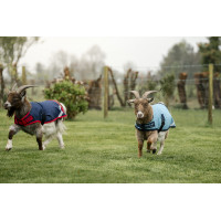 Capa para cabra Horseware 0g Marinho / vermelho Azul