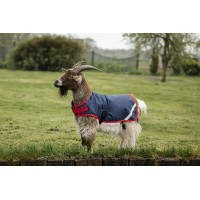 Capa para cabra Horseware 200g Marinho / vermelho