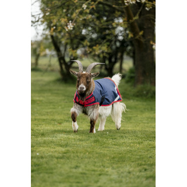 Capa para cabra Horseware 200g Capa para cabra Horseware 200g