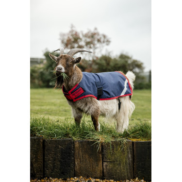 Capa para cabra Horseware 200g Capa para cabra Horseware 200g