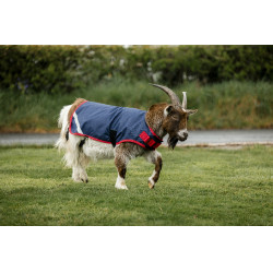 Capa para cabra Horseware 200g Marinho / vermelho Azul Capa para cabra Horseware 200g Marinho / vermelho Azul