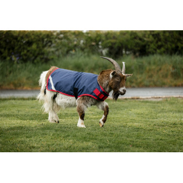Capa para cabra Horseware 200g Capa para cabra Horseware 200g