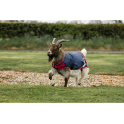 Capa para cabra Horseware 200g Marinho / vermelho Azul Capa para cabra Horseware 200g Marinho / vermelho Azul