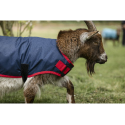 Capa para cabra Horseware 200g Marinho / vermelho Azul Capa para cabra Horseware 200g Marinho / vermelho Azul