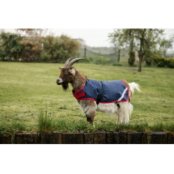 Capa para cabra Horseware 200g Marinho / vermelho Azul Capa para cabra Horseware 200g Marinho / vermelho Azul