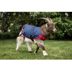 Capa para cabra Horseware 200g Marinho / vermelho Azul Capa para cabra Horseware 200g Marinho / vermelho Azul