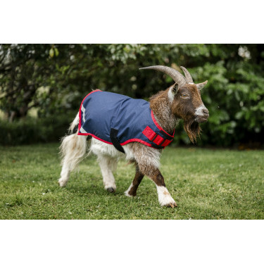 Capa para cabra Horseware 200g Capa para cabra Horseware 200g