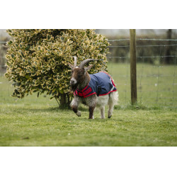 Capa para cabra Horseware 200g Marinho / vermelho Azul Capa para cabra Horseware 200g Marinho / vermelho Azul