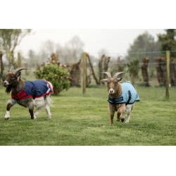 Capa para cabra Horseware 200g Capa para cabra Horseware 200g