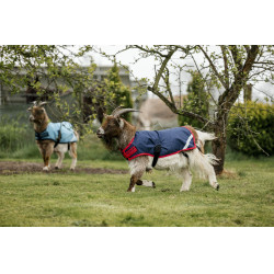 Capa para cabra Horseware 200g Capa para cabra Horseware 200g