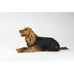 Capa para cão Horseware Newmarket Ouro branco