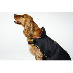 Capa para cão Horseware Newmarket Ouro branco