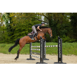 Calça Pikeur New Rodrigo Grip joelhos 7603 Sports homem Cinza aço Cinzento Calça Pikeur New Rodrigo Grip joelhos 7603 Sports homem Cinza aço Cinzento