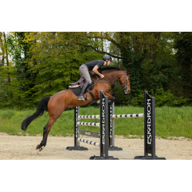 Calça Pikeur New Rodrigo Grip joelhos 7603 Sports homem Cinza aço Cinzento Calça Pikeur New Rodrigo Grip joelhos 7603 Sports homem Cinza aço Cinzento