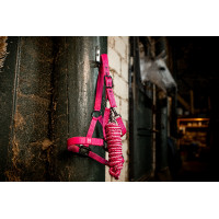 Cabresto e guia Horseware Newmarket Rose Witney Rosa