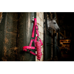 Cabresto e guia Horseware Newmarket Rose Witney Rosa Cabresto e guia Horseware Newmarket Rose Witney Rosa