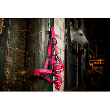 Cabresto e guia Horseware Newmarket Rose Witney Rosa Cabresto e guia Horseware Newmarket Rose Witney Rosa