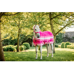 Cabresto e guia Horseware Newmarket Rose Witney Rosa Cabresto e guia Horseware Newmarket Rose Witney Rosa